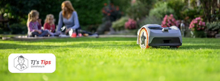 TJ’s Tips - Lawn Care Tips