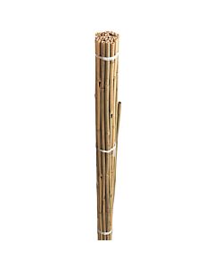 grow_it_bamboo_canes_bulk_bundle_gardman_08060_08066_08071_08078_08082_08088_08093_co.jpg