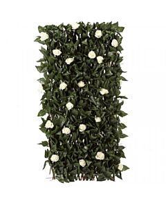 white_bloom_trellis.jpg