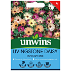 Livingstone Daisy Tapestry Mix